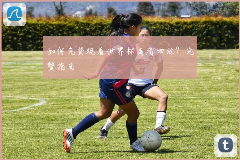 如何免费观看世界杯高清回放？完整指南